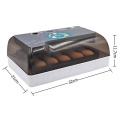 New Arrival European standard Cheap price 12 eggs mini egg incubator And Hatcher